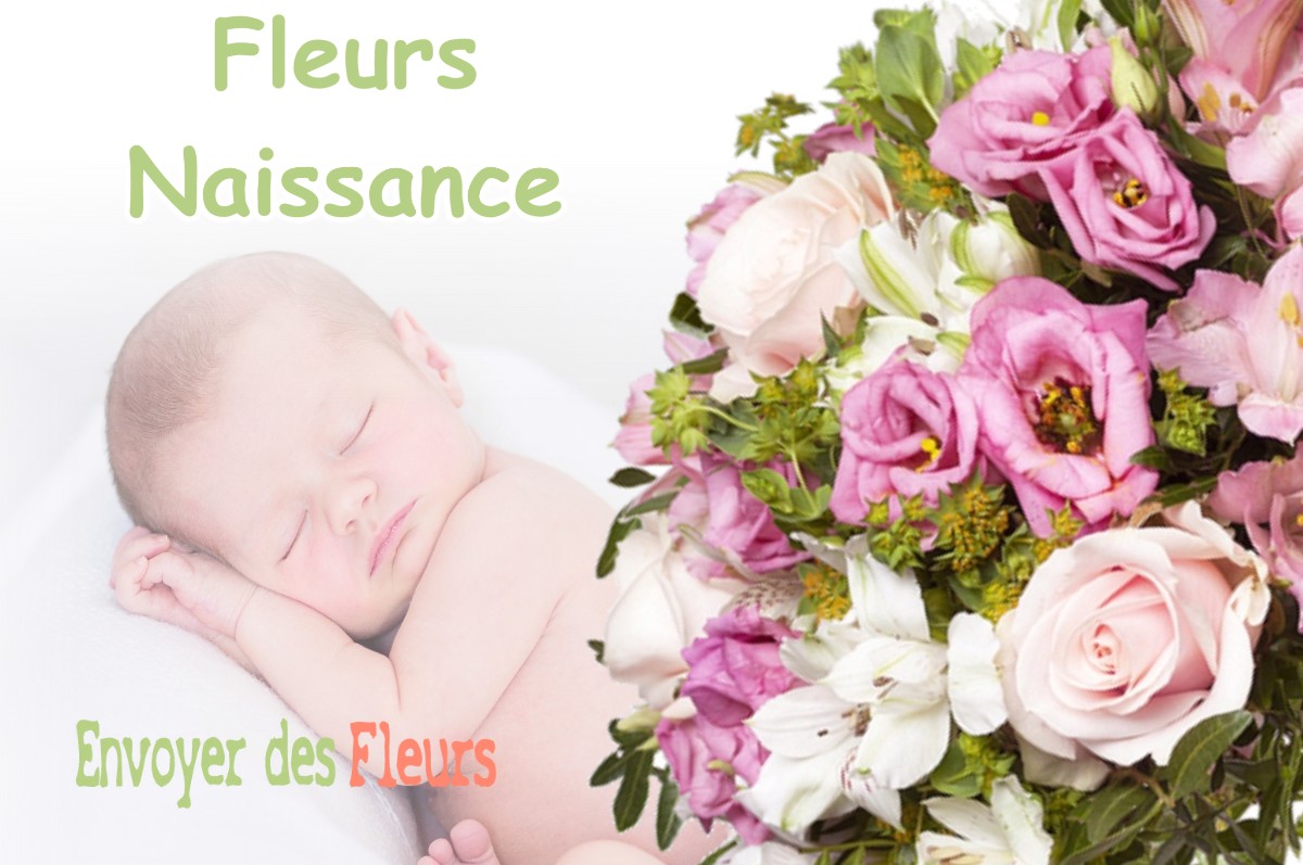 lIVRAISON FLEURS NAISSANCE à MEYRARGUES